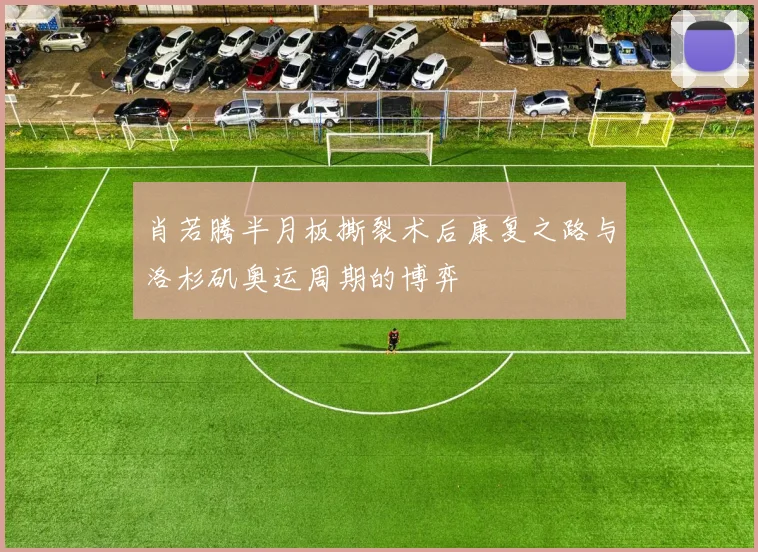 肖若腾半月板撕裂术后康复之路与洛杉矶奥运周期的博弈