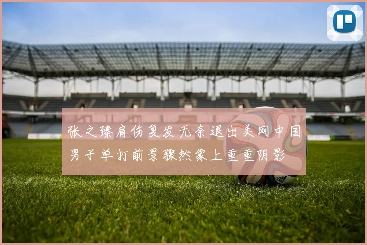 张之臻肩伤复发无奈退出美网中国男子单打前景骤然蒙上重重阴影